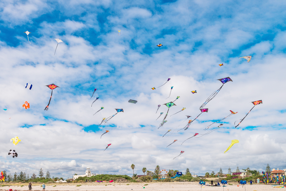 Makar Sankranti: A Celebration of Harvest, Joy, and Culture in India